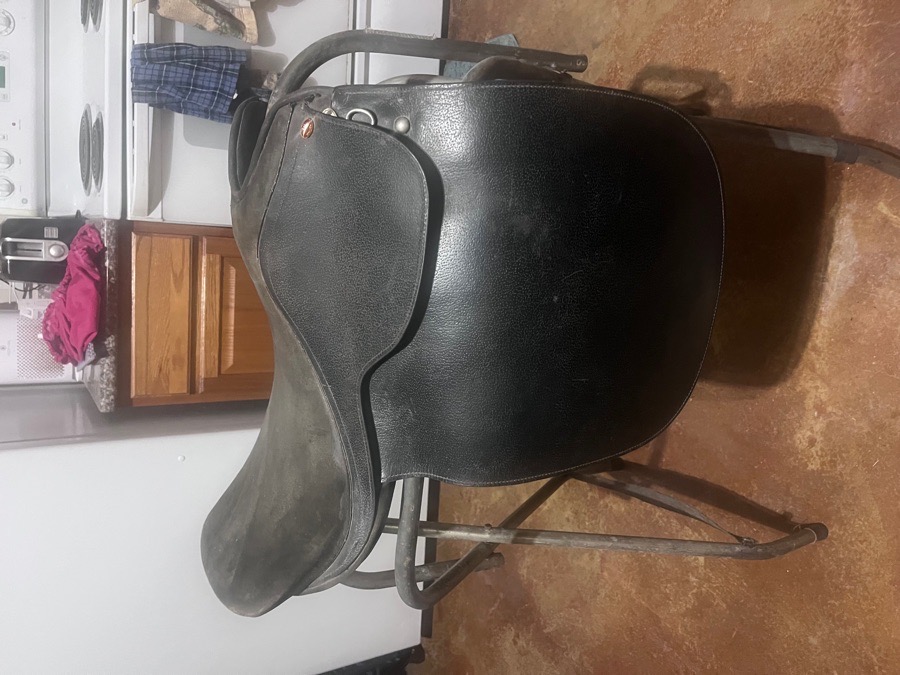 TSI Stallion Saddleseat/All Purpose