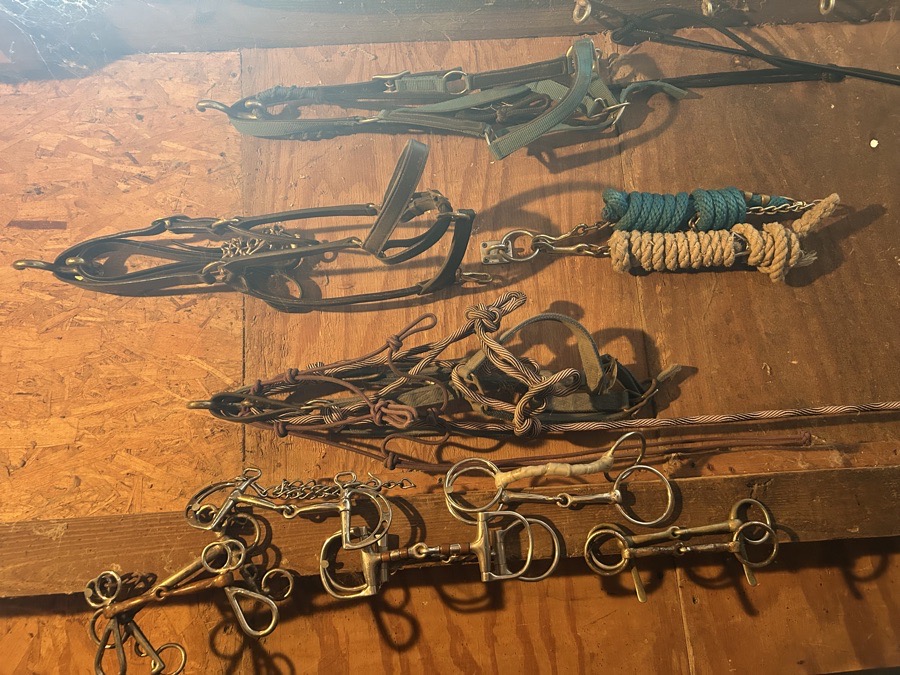 Horse tack