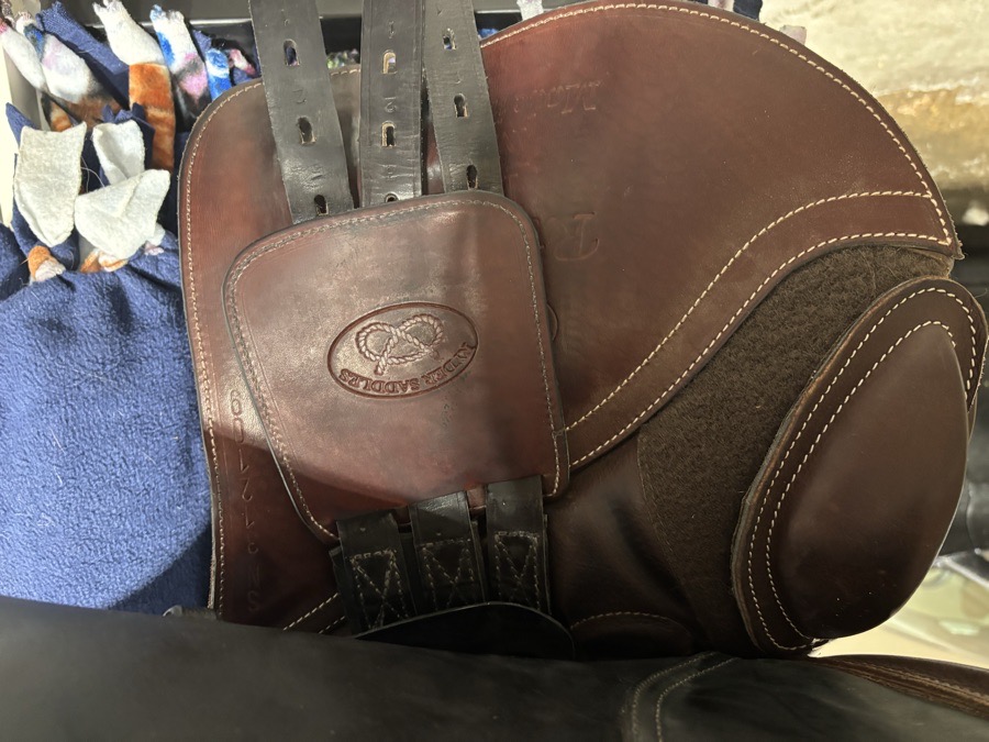 Ryder Riviera jump saddle 16.5MW