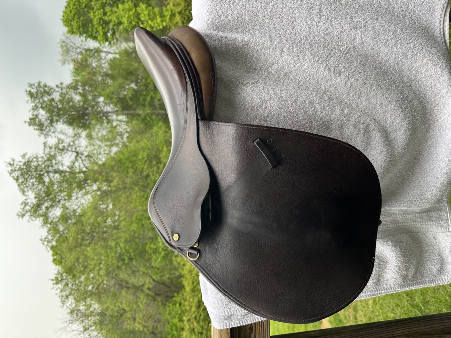 Collegiate English / Jumping Saddle