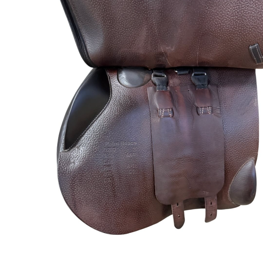 2022 Voltaire Palm Beach