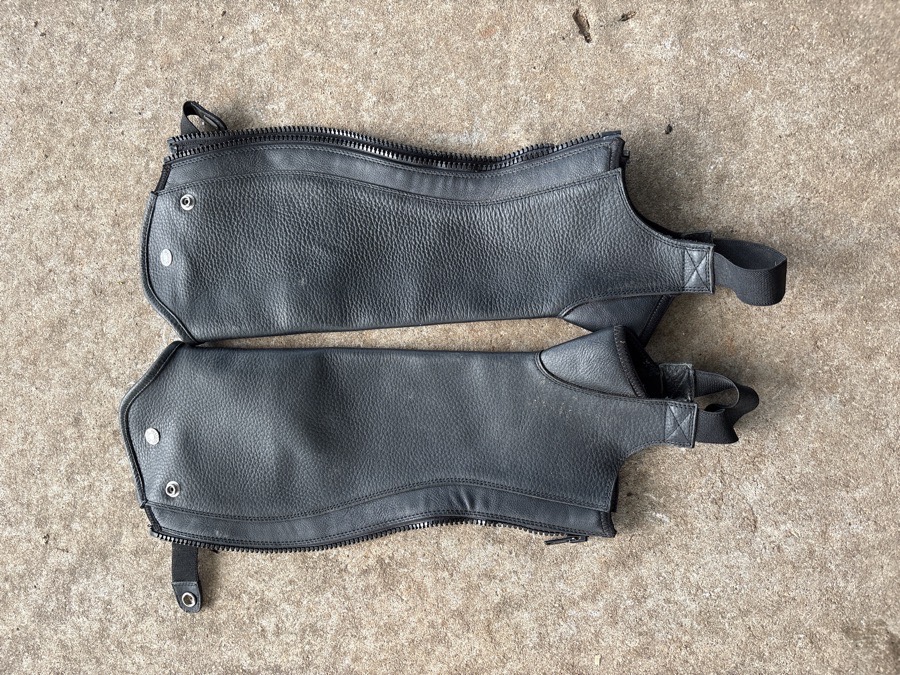 Dover Half Chaps (medium)