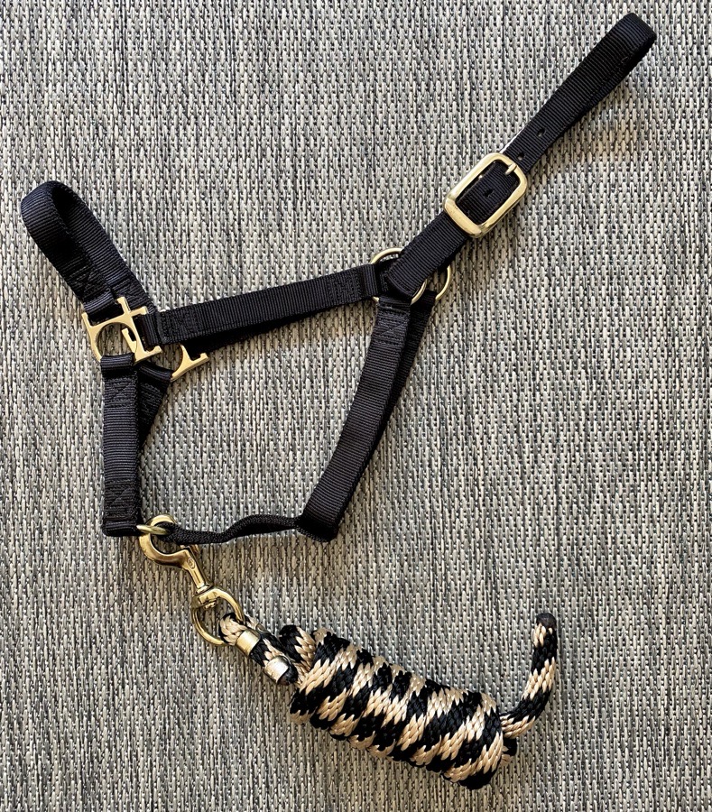 Average/Horse Black Nylon Halter with Black & Tan Poly Lead Rope