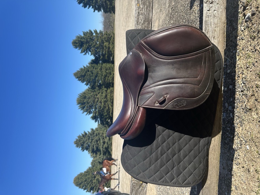 CWD Saddle SE 19 15.5 1L