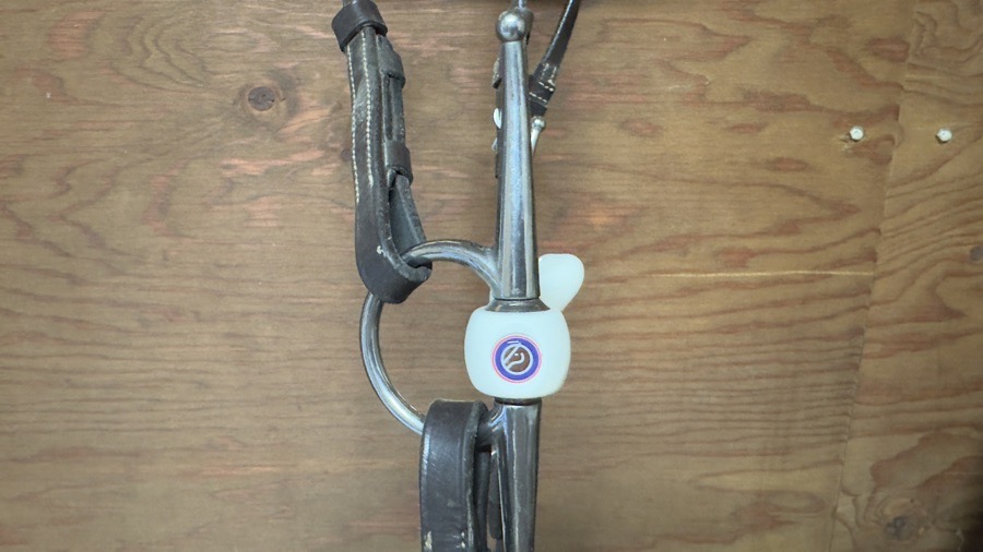 Trust Full Check Bit