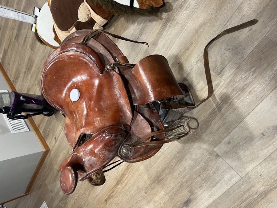 western roping saddle