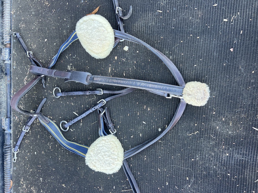 Ovation Elite 5 Point Breastplate