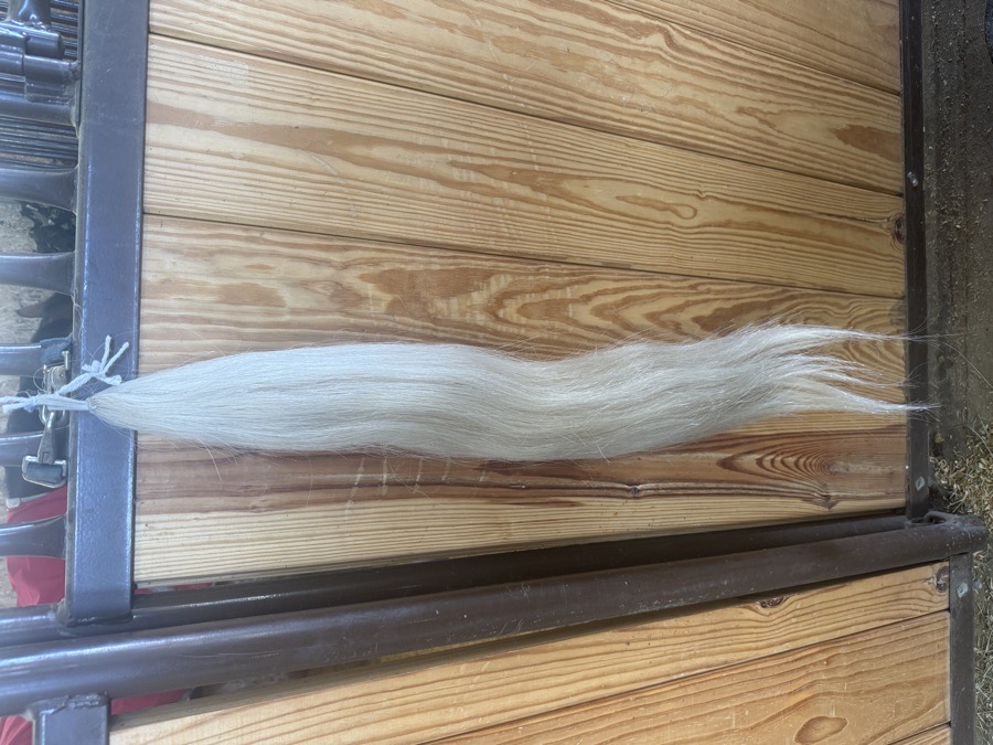 Thermal spring 1! Fake tail for grey (full, horse)