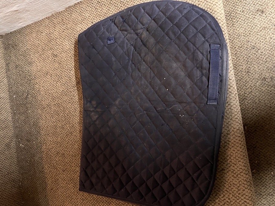 Blue Centaur saddle pads