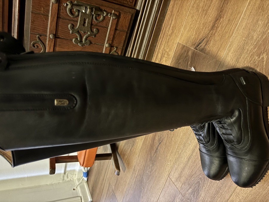 Tredstep Donatello 37 xt