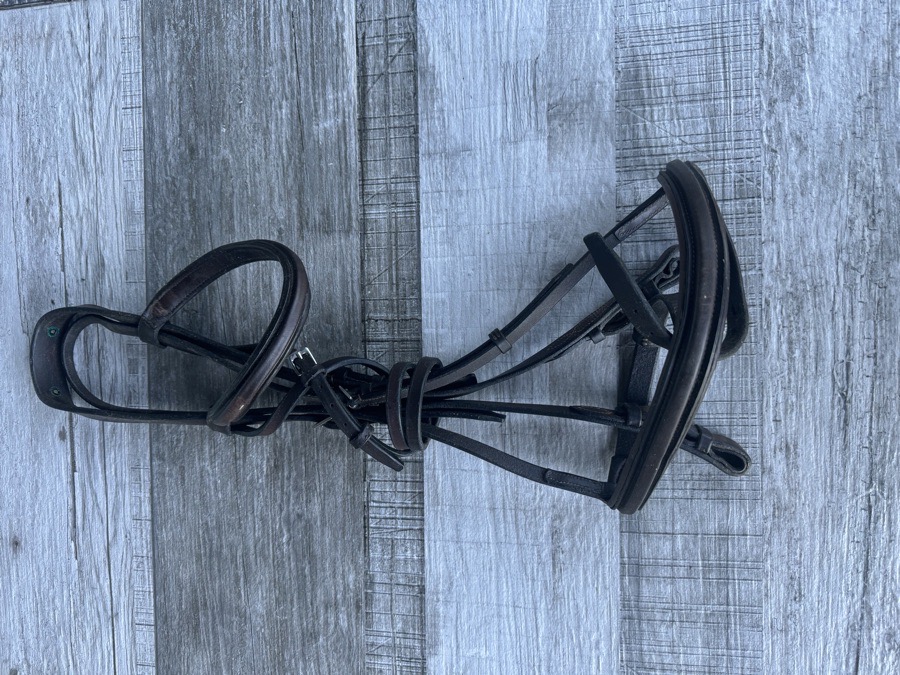 Bevel Heritage Bridle