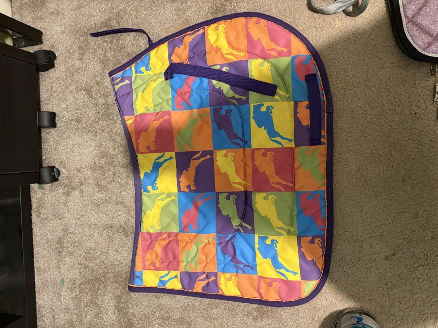 Saddle pad/ AP or Jump