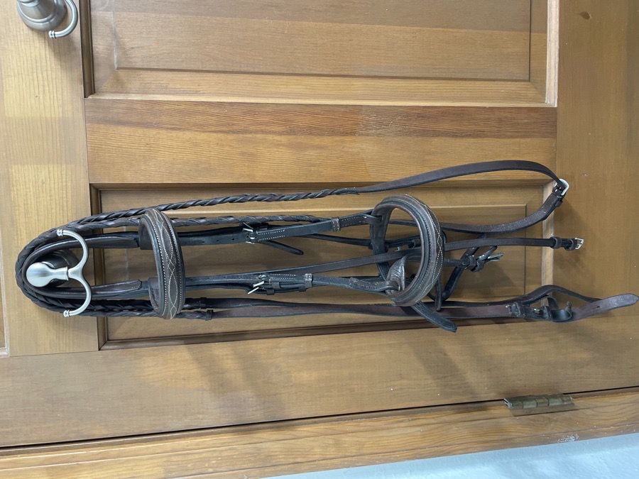 Cob Schooling Bridle