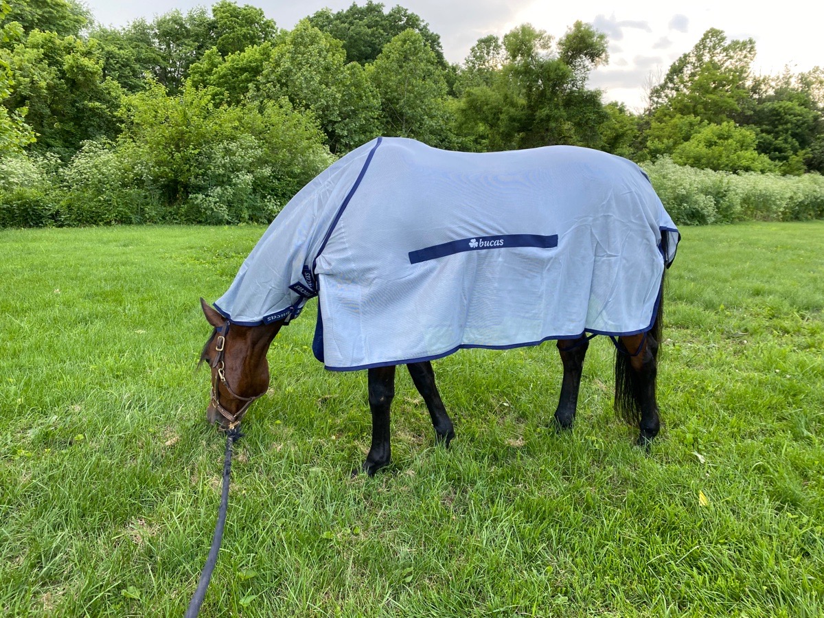 75” Bucas Buzz Off Combo Fly Sheet