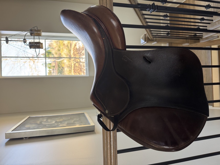 18” Antares Saddle