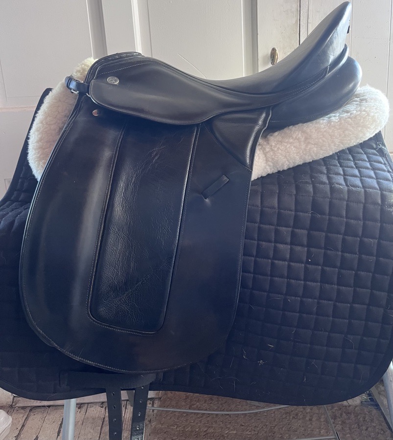 KIEFFER RHEIN AJ 17.5”