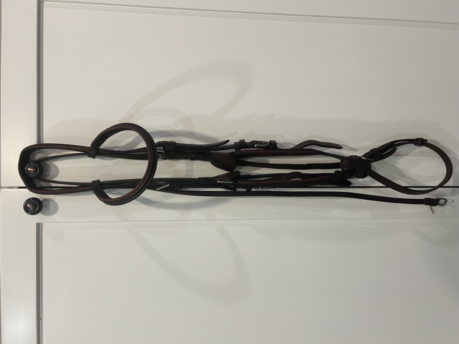 Vespucci Figure 8 Jumper Bridle, Padded and Square Raised