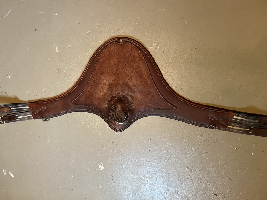 Antares belly girth 50”