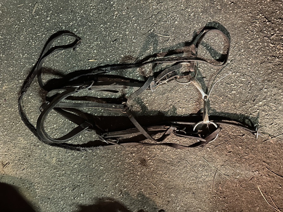 Leather Draft Horse Bridles