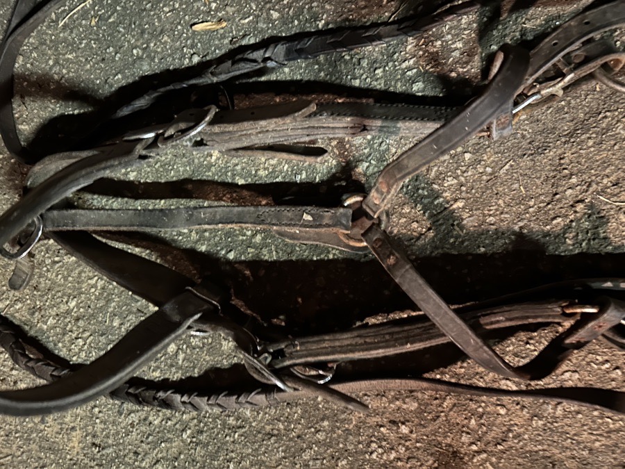 Leather Draft Horse Bridles