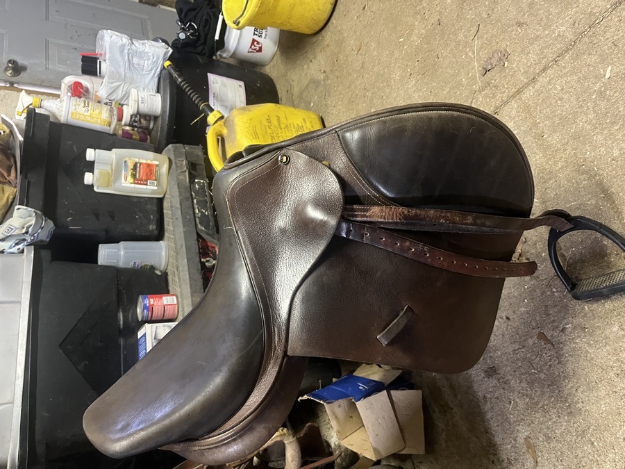English saddle