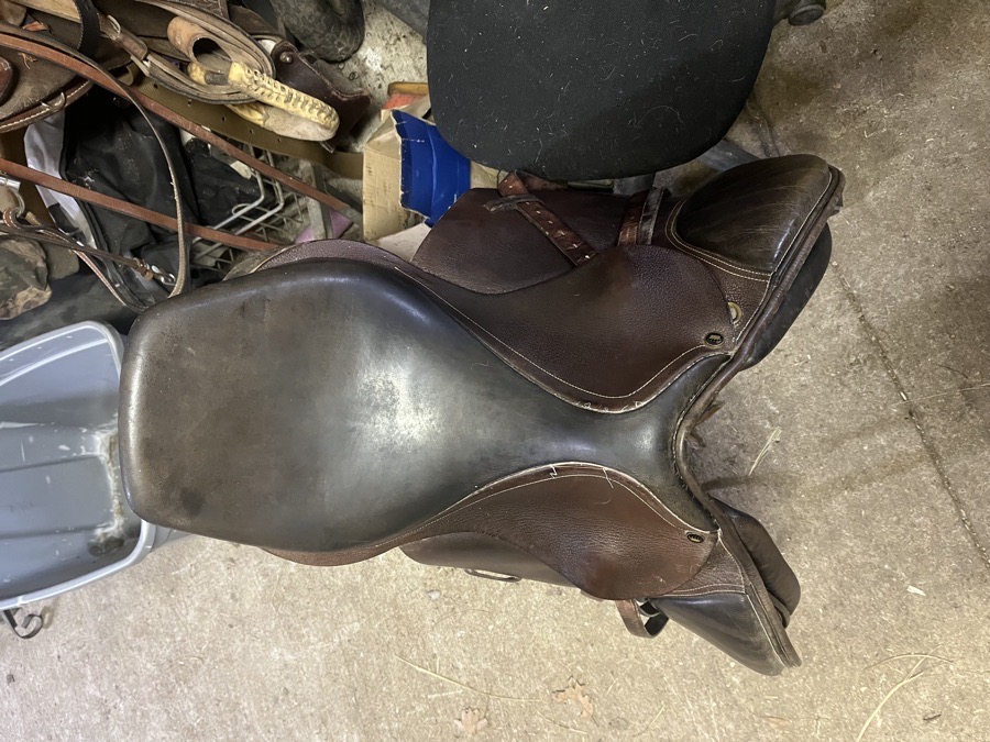 English saddle