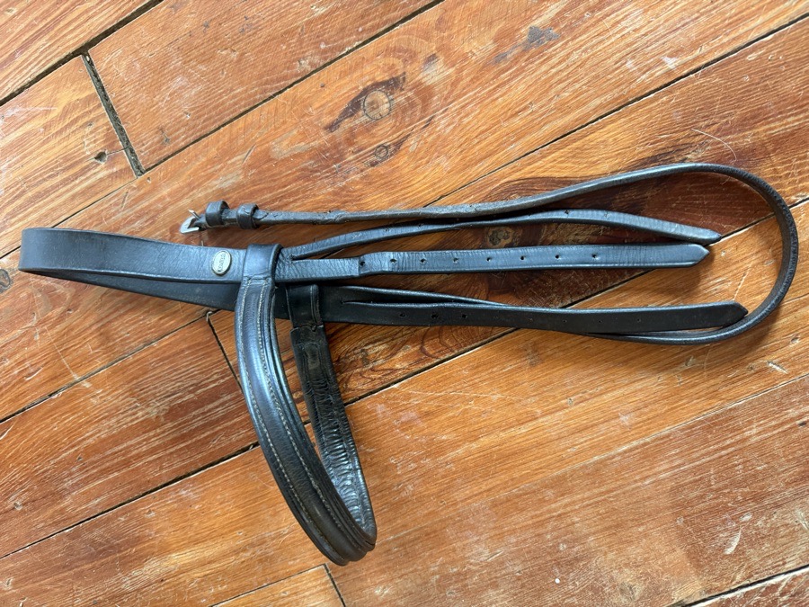 Kavalkade crown and browband