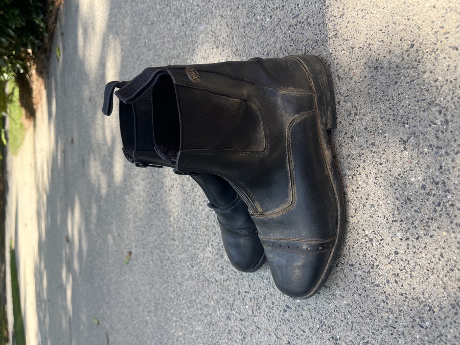 Equistar Short Boots