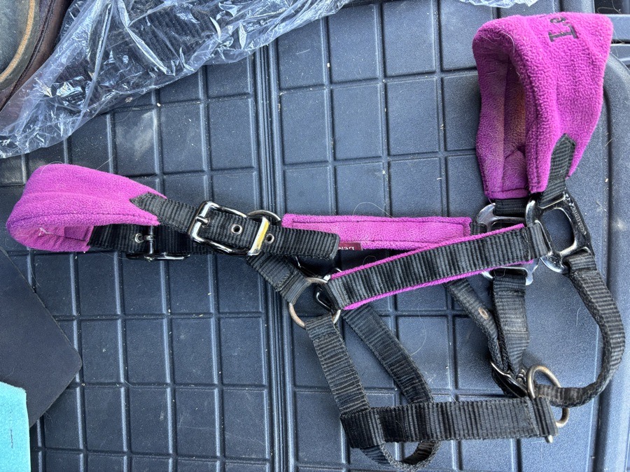 Lemieux Vogue Headcollar Plum size Full