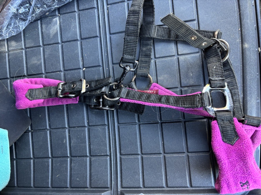 Lemieux Vogue Headcollar Plum size Full