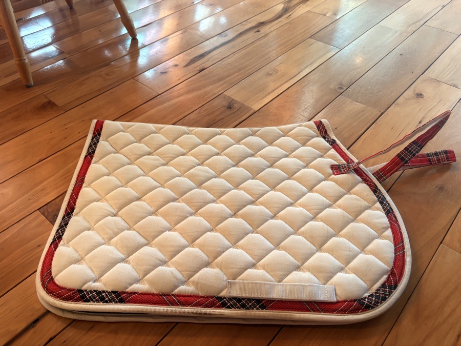 Saddle pad