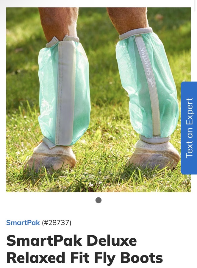 NWT Smartpak Fly Boots - Teal/Grey