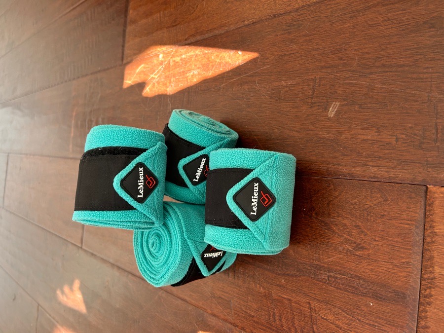 Mint Color LeMieux Pony Polos