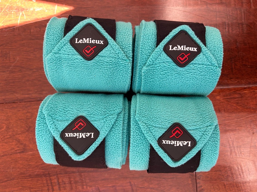 Mint Color LeMieux Pony Polos