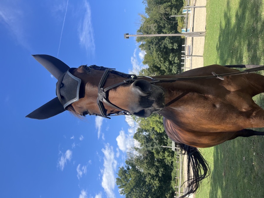 Val du BOIS fancy stitch figure 8