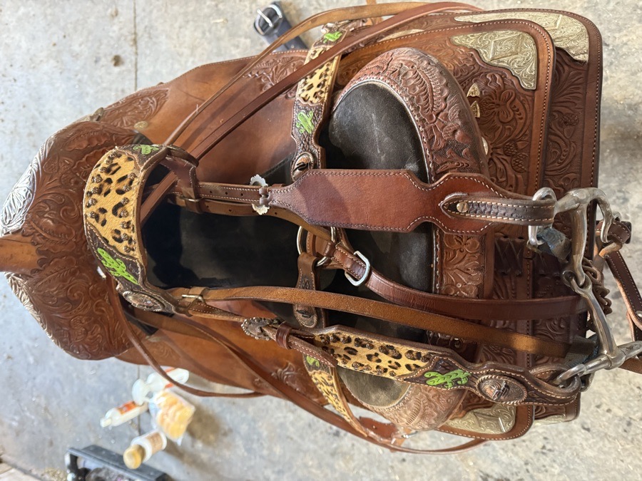 Leopard Western Headstall and Breasr collar Set
