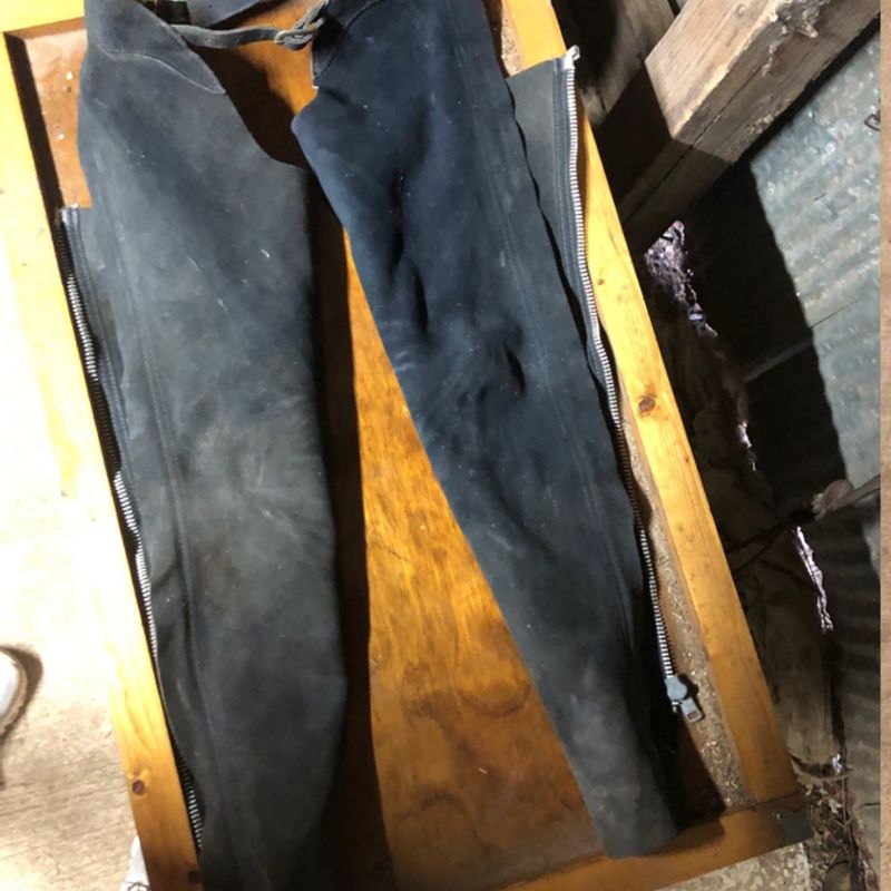Black English Full Chaps Size 12 (Jr)