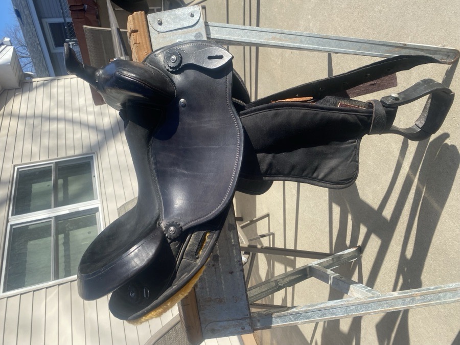 Black Frabtron saddle