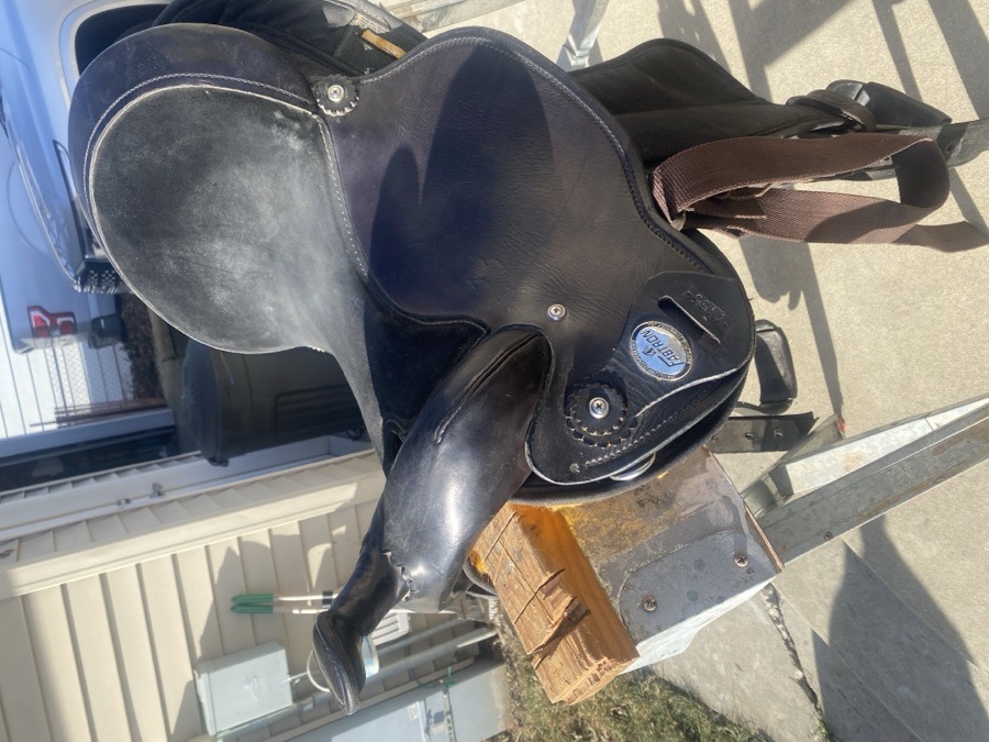 Black Frabtron saddle