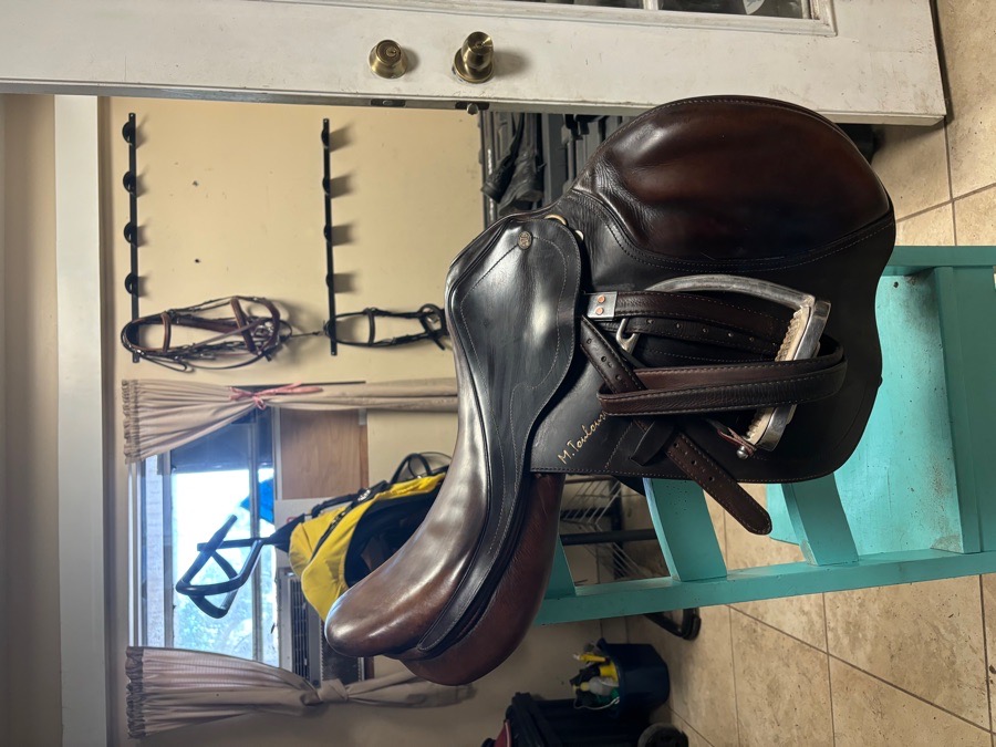 M. Toulouse saddle!!