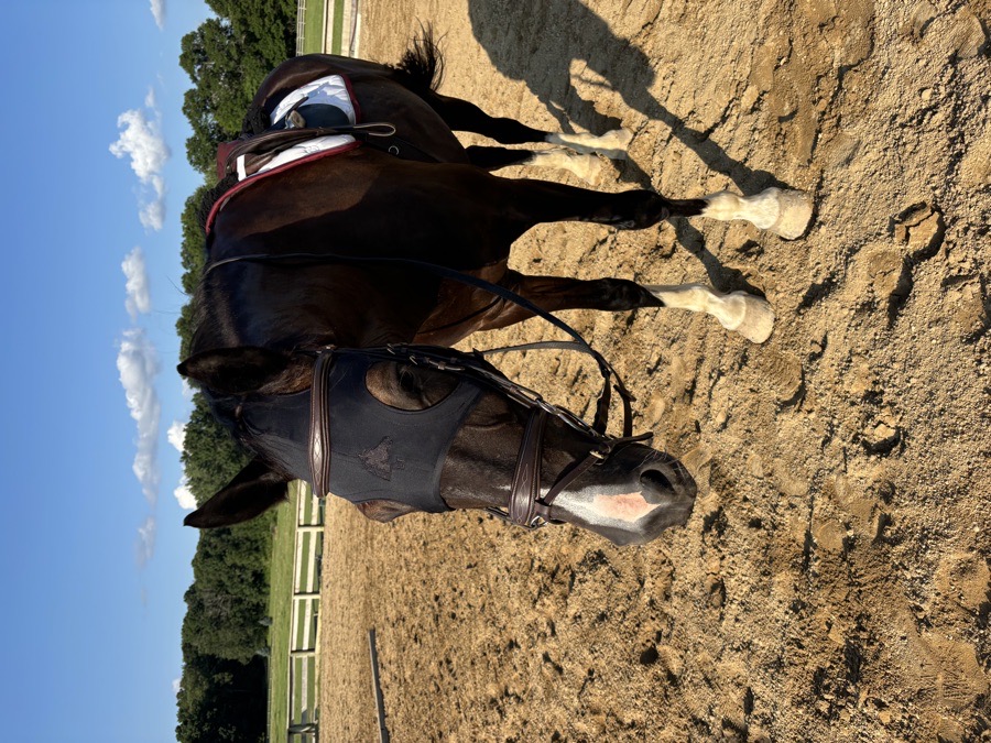 Fenwick Liquid Titanium Compression Mask