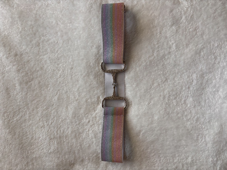 Bay Belts Rainbow Bedazzled Bit Belt