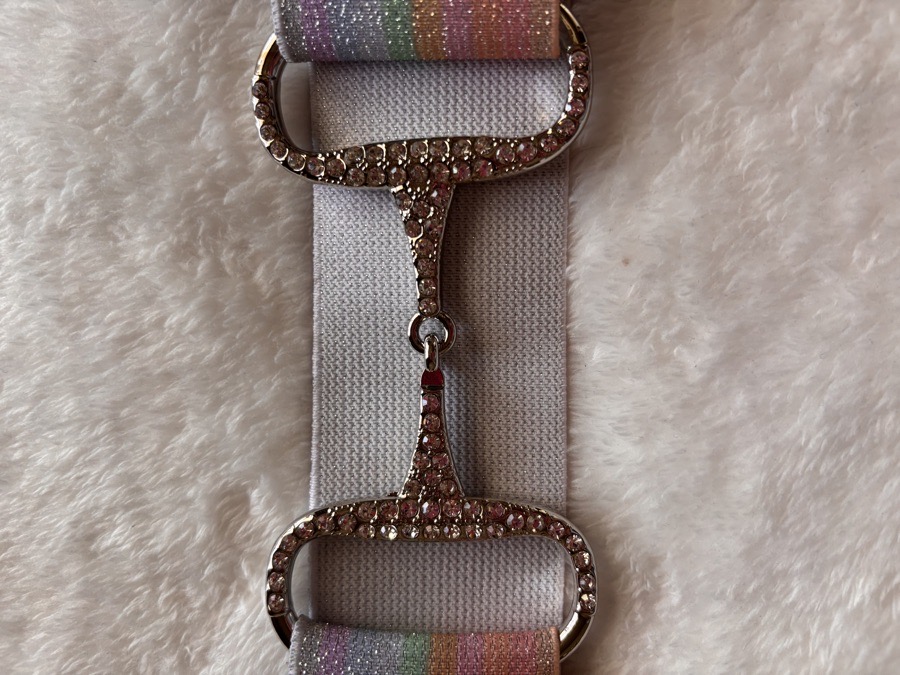 Bay Belts Rainbow Bedazzled Bit Belt
