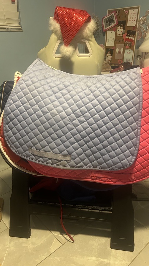 Periwinkle saddle pad
