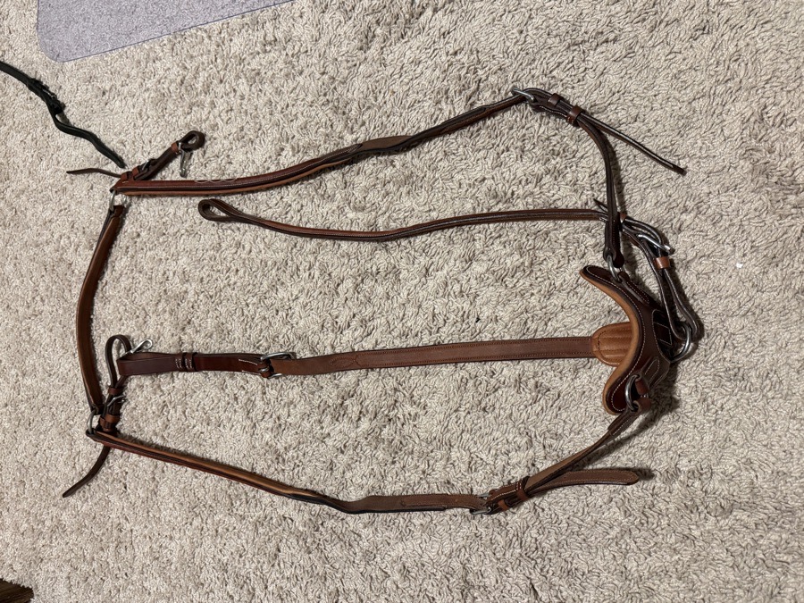 PJ 3 Point Fancy Raised Breastplate with Standing Attachment