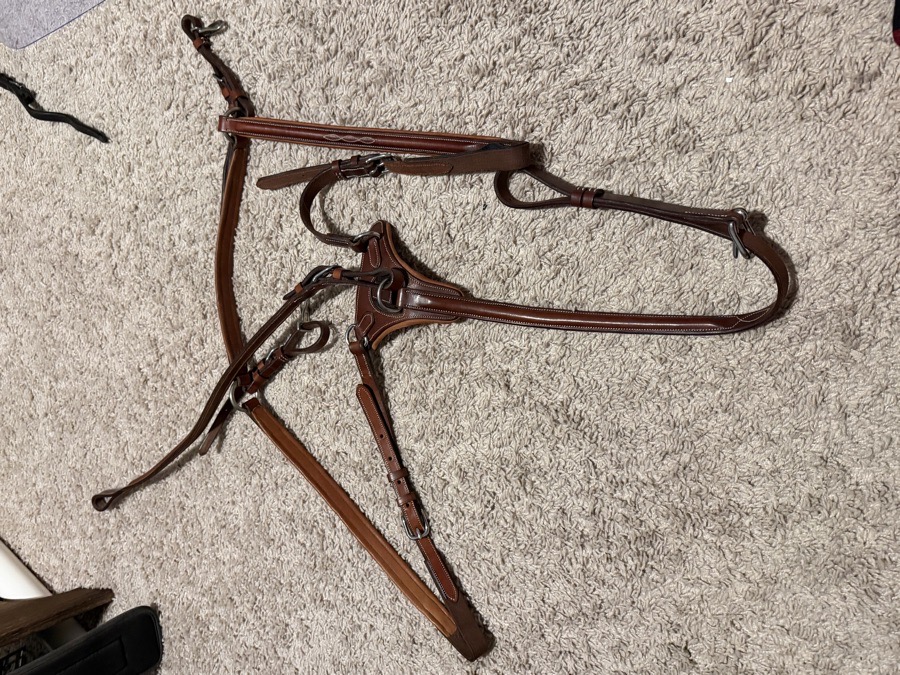 PJ 3 Point Fancy Raised Breastplate with Standing Attachment