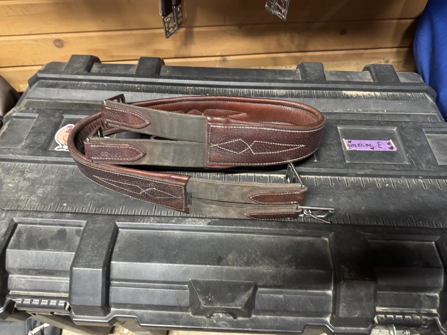 Devoucoux Hunter Allure Girth