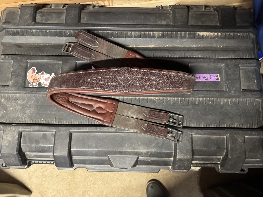 Devoucoux Hunter Allure Girth