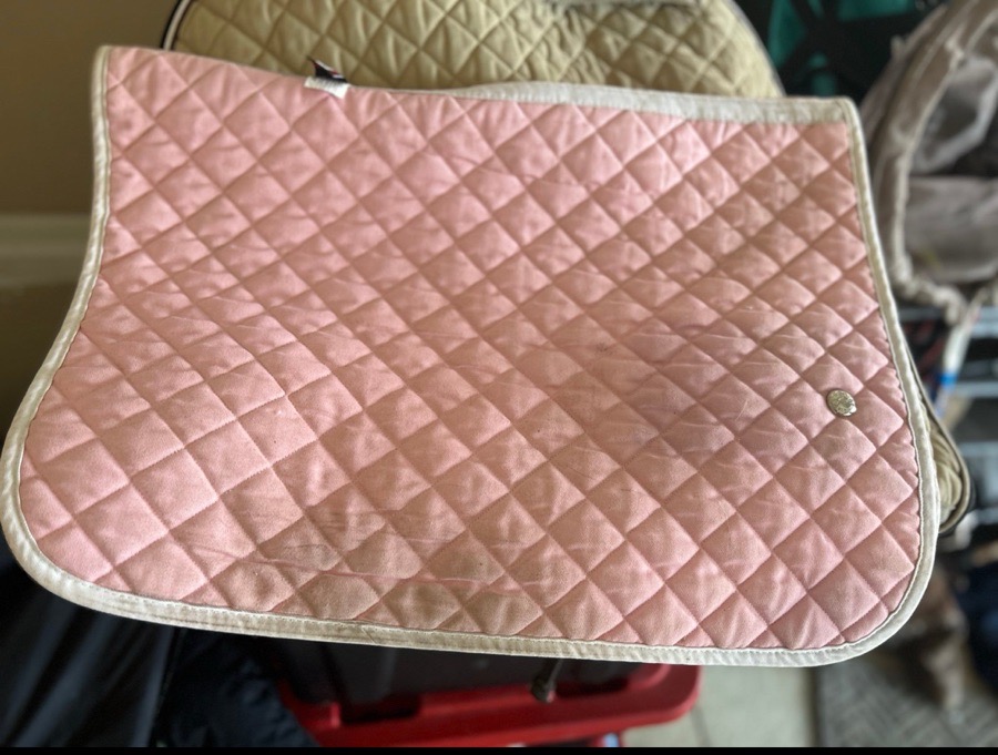 ogilvy saddle pad pink would fit pony better than a horse