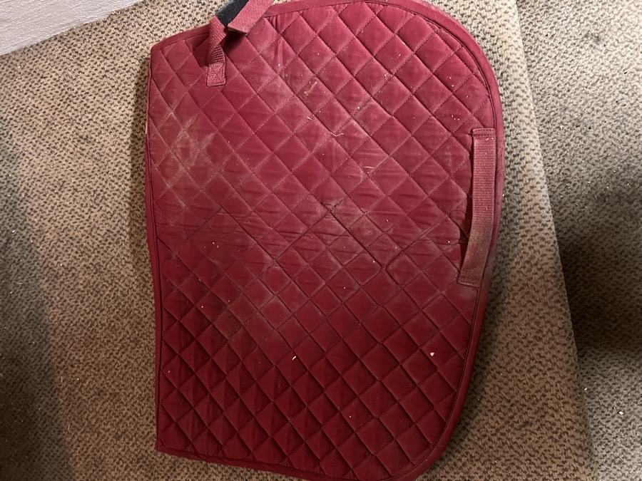 Dover AP saddle pad
